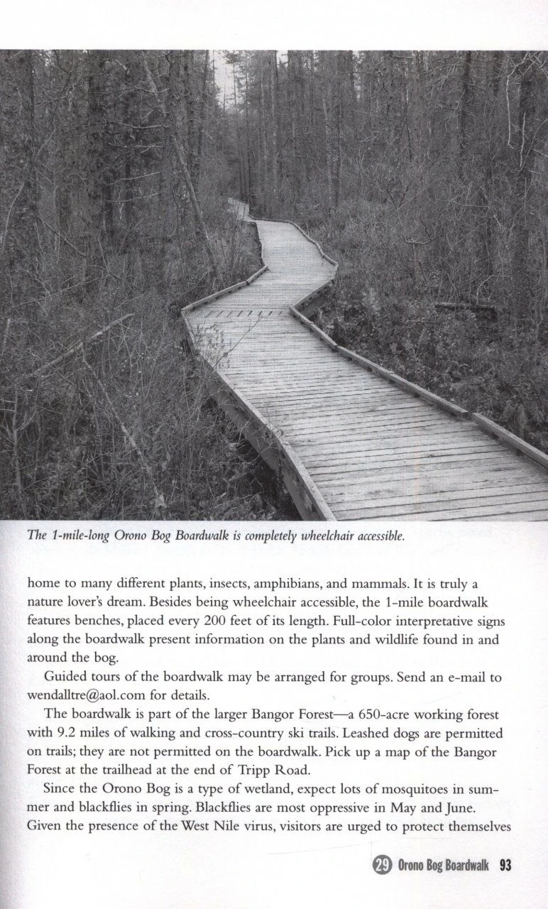 Birding Maine 6 Birding Maine - Image 4