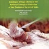 Catalogue Of Eggs (Aves) In The National Zoological Collection Of The Zoological Survey Of India Part I 1 Catalogue Of Eggs (Aves) In The National Zoological Collection Of The Zoological Survey Of India Part I -Wildlife Professional Books 198598