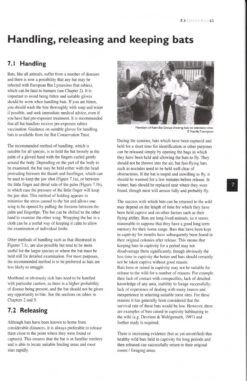 The Bat Workers' Manual 13 The Bat Workers' Manual -Wildlife Professional Books 198731 14