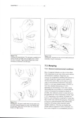 The Bat Workers' Manual 19 The Bat Workers' Manual -Wildlife Professional Books 198731 20