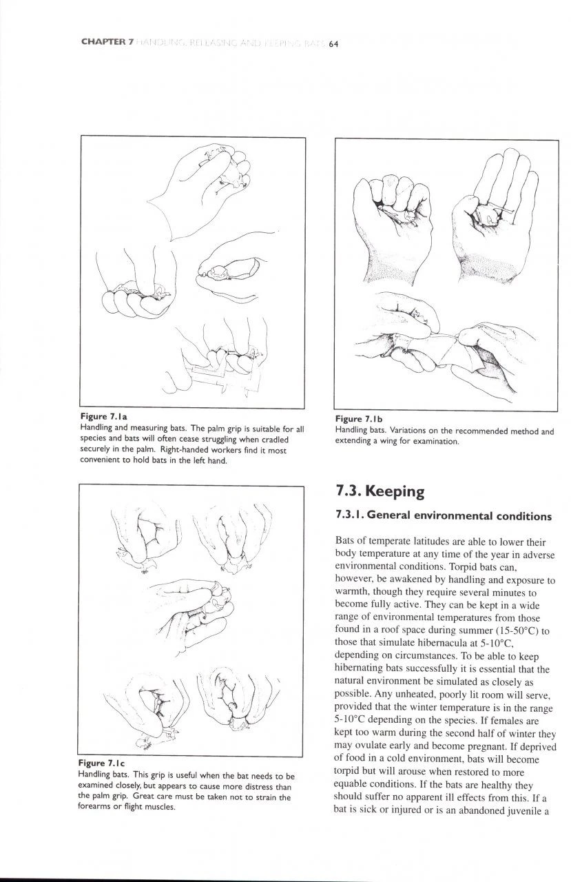 The Bat Workers' Manual 11 The Bat Workers' Manual - Image 9