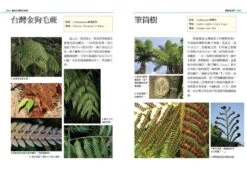 Native Plants Of Northern Taiwan [Chinese] -Wildlife Professional Books 199005 1
