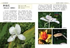 Native Plants Of Northern Taiwan [Chinese] -Wildlife Professional Books 199005 2