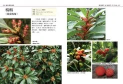 Native Plants Of Northern Taiwan [Chinese] -Wildlife Professional Books 199005 3