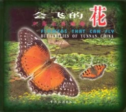 Butterflies Of Yunnan, China