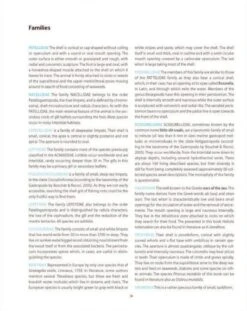 The Sea Shells Of Greece -Wildlife Professional Books 200464 3