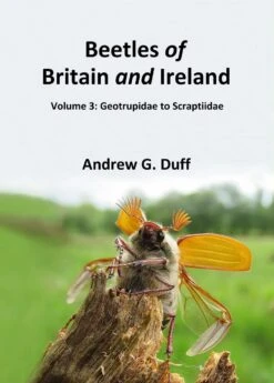 Beetles Of Britain And Ireland, Volume 3