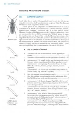 Beetles Of Britain And Ireland, Volume 3 -Wildlife Professional Books 200647 3