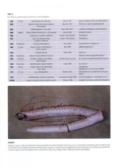 Systematics, Biology, And Distribution Of The Species Of The Oceanic Oarfish Genus Regalecus (Teleostei, Lampridiformes, Regalecidae) -Wildlife Professional Books 201290 2