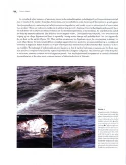 Systematics, Biology, And Distribution Of The Species Of The Oceanic Oarfish Genus Regalecus (Teleostei, Lampridiformes, Regalecidae) -Wildlife Professional Books 201290 3