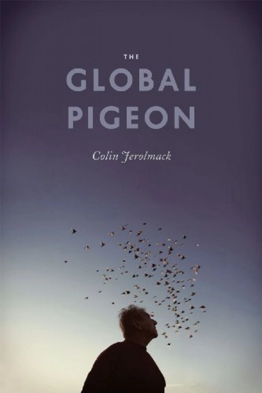 The Global Pigeon 3 The Global Pigeon