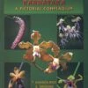 Wild Orchids In Karnataka 1 Wild Orchids In Karnataka -Wildlife Professional Books 202605