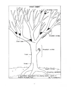 Wild Orchids In Karnataka -Wildlife Professional Books 202605 2