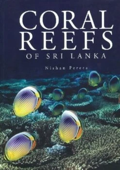 Coral Reefs Of Sri Lanka