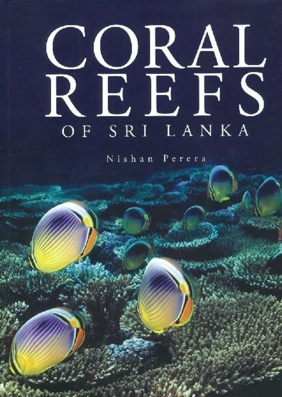 Coral Reefs Of Sri Lanka 3 Coral Reefs Of Sri Lanka