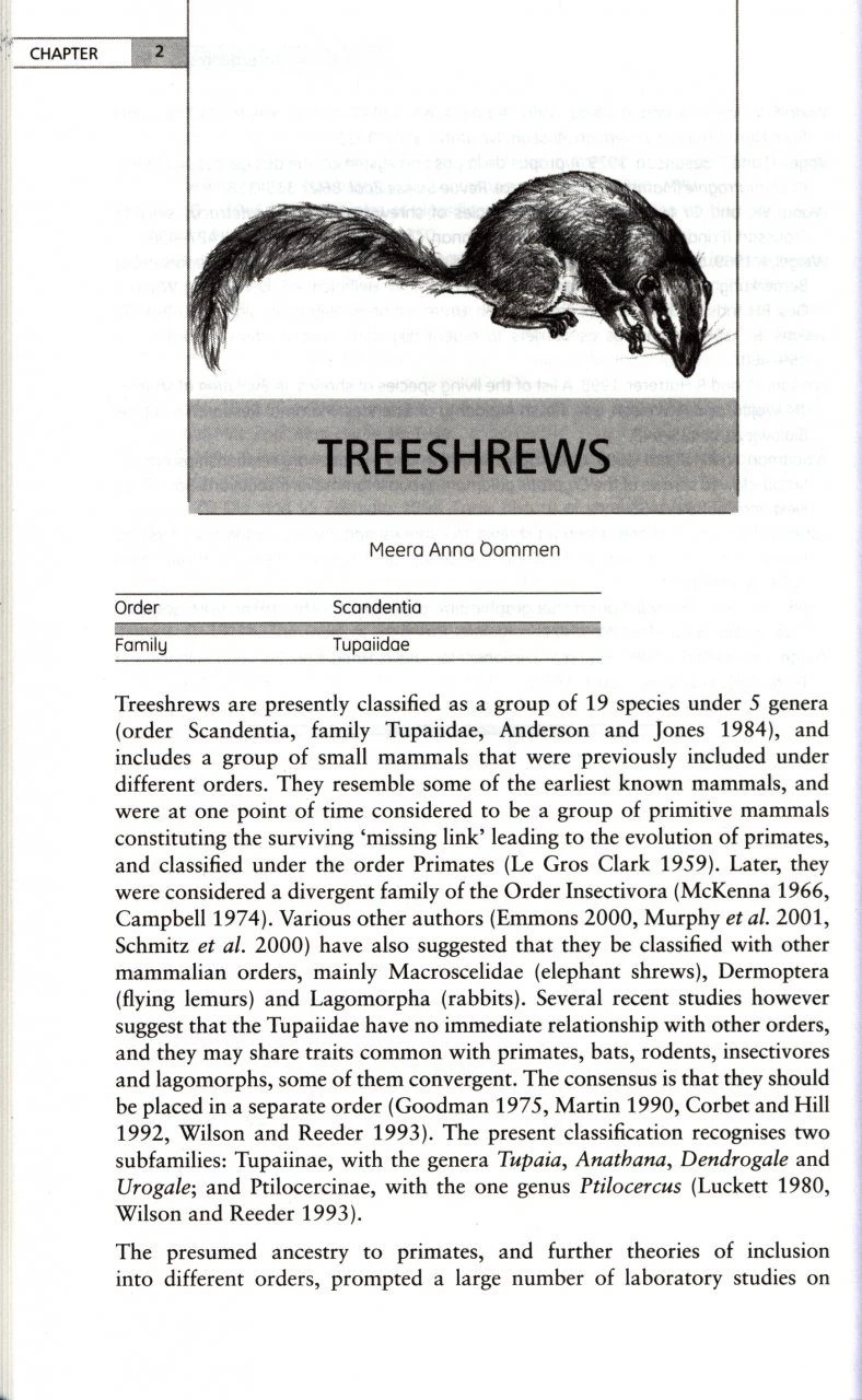 Mammals Of South Asia, Volume 1 4 Mammals Of South Asia, Volume 1 - Image 2