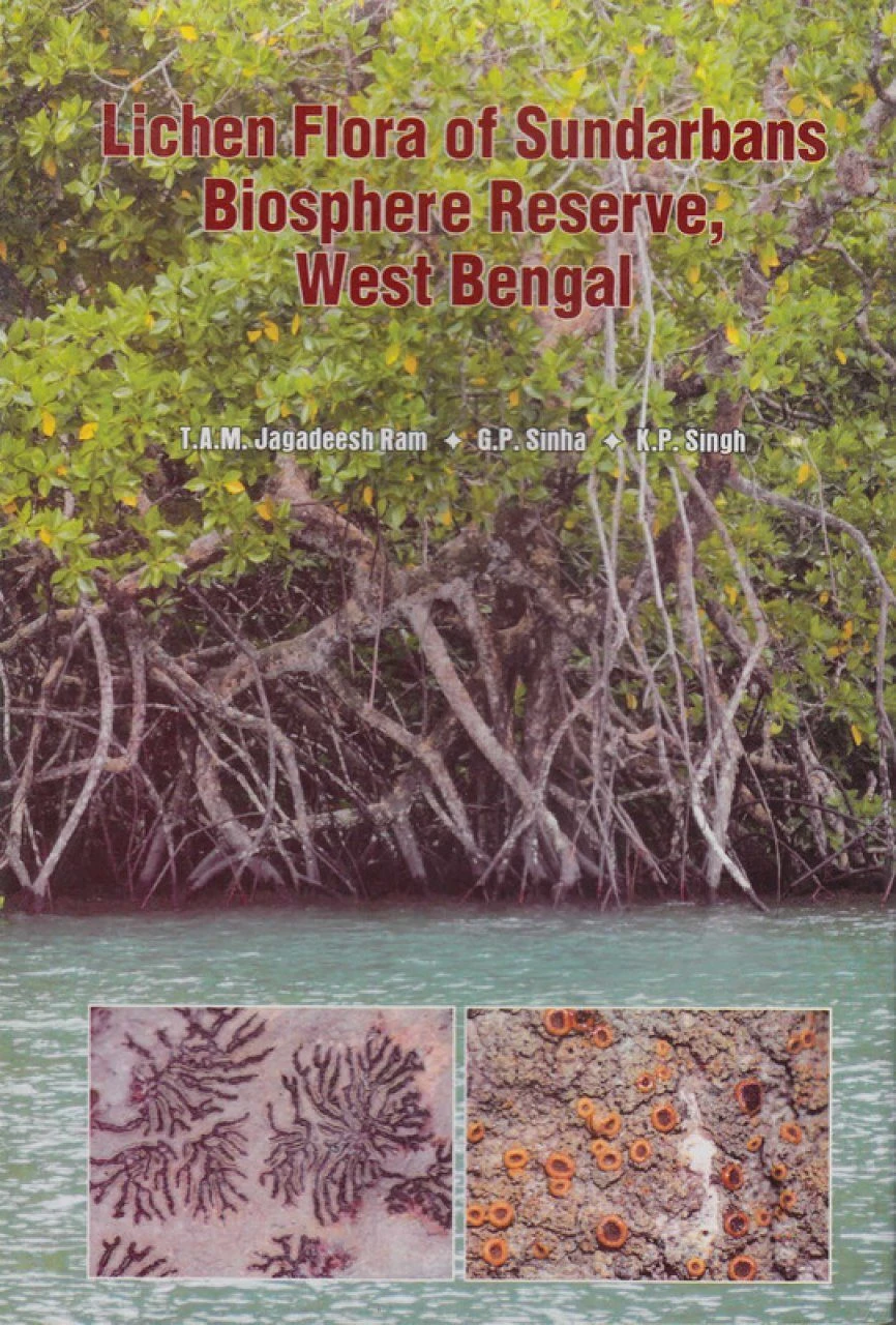 Lichen Flora Of Sundarbans Biosphere Reserve, West Bengal 3 Lichen Flora Of Sundarbans Biosphere Reserve, West Bengal