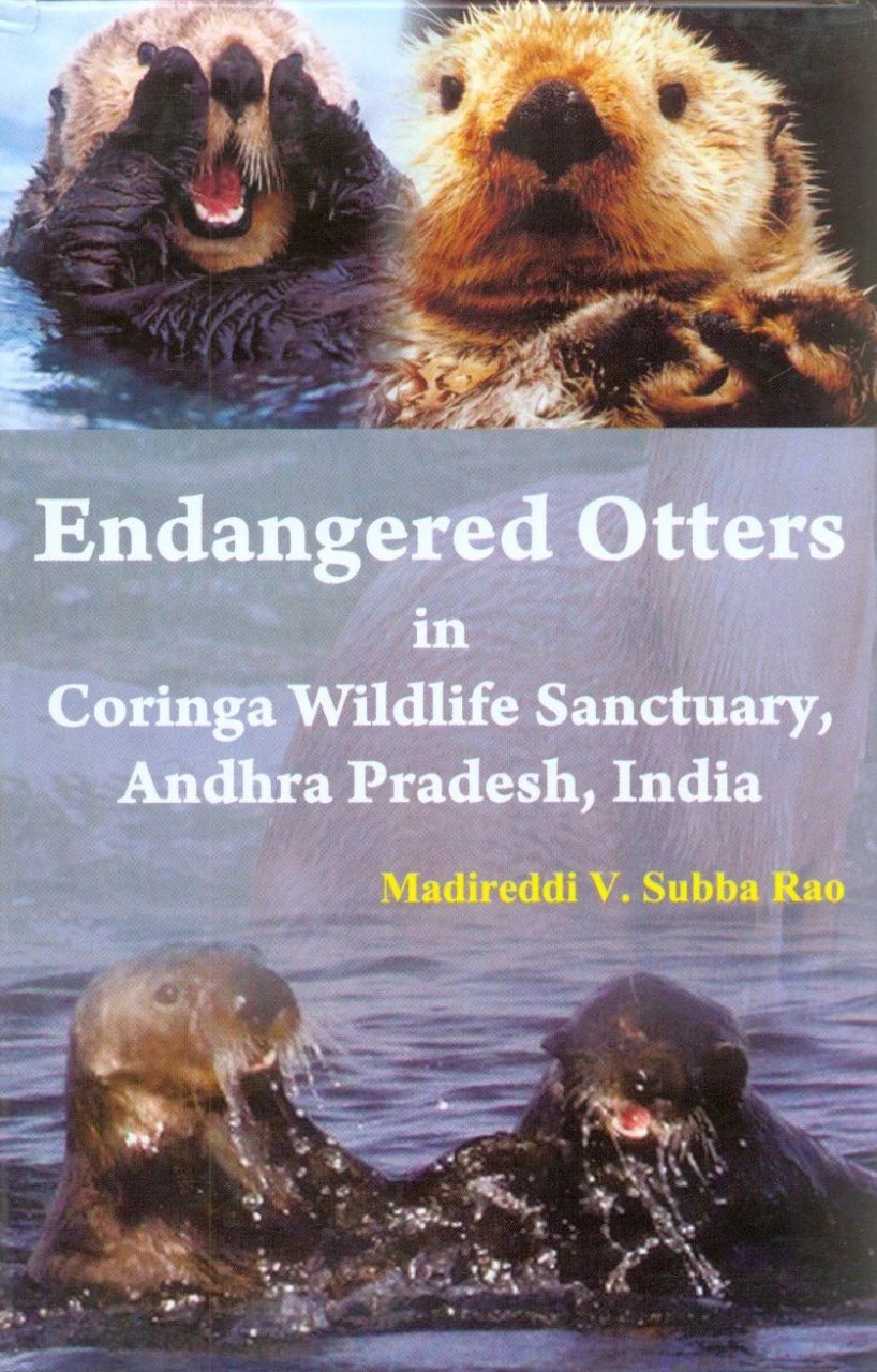 Endangered Otters In Coringa Wildlife Sanctuary, Andhra Pradesh, India 3 Endangered Otters In Coringa Wildlife Sanctuary, Andhra Pradesh, India