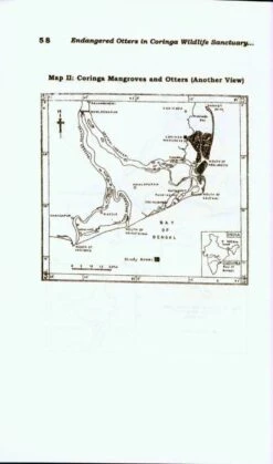 Endangered Otters In Coringa Wildlife Sanctuary, Andhra Pradesh, India 8 Endangered Otters In Coringa Wildlife Sanctuary, Andhra Pradesh, India -Wildlife Professional Books 203703 2