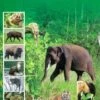 Reproduction In Wild Mammals 1 Reproduction In Wild Mammals -Wildlife Professional Books 203709