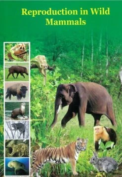 Reproduction In Wild Mammals