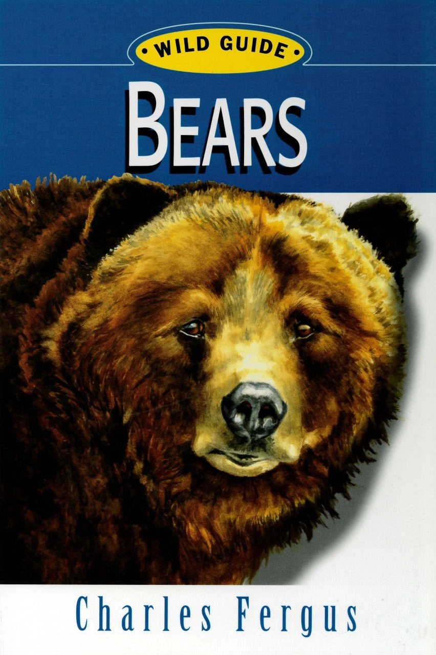 Bears: Wild Guide 3 Bears: Wild Guide