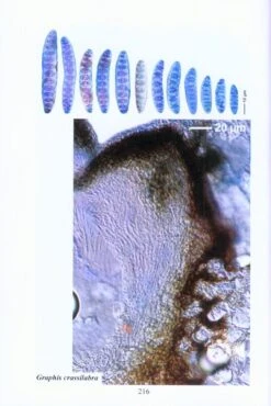 A Microscopical Atlas Of Some Tropical Lichens From SE-Asia (2-Volume Set) [English] -Wildlife Professional Books 204336 3