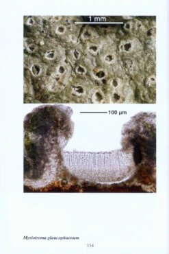 A Microscopical Atlas Of Some Tropical Lichens From SE-Asia (2-Volume Set) [English] -Wildlife Professional Books 204336 5
