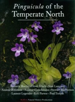 Pinguicula Of The Temperate North