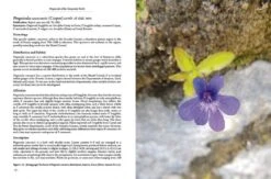 Pinguicula Of The Temperate North 17 Pinguicula Of The Temperate North -Wildlife Professional Books 204408 02