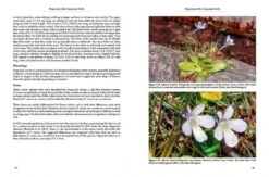Pinguicula Of The Temperate North 18 Pinguicula Of The Temperate North -Wildlife Professional Books 204408 03