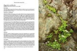 Pinguicula Of The Temperate North 19 Pinguicula Of The Temperate North -Wildlife Professional Books 204408 04