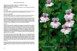 Pinguicula Of The Temperate North 20 Pinguicula Of The Temperate North -Wildlife Professional Books 204408 05