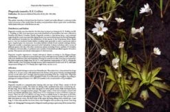 Pinguicula Of The Temperate North 21 Pinguicula Of The Temperate North -Wildlife Professional Books 204408 06