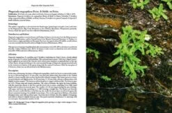 Pinguicula Of The Temperate North 22 Pinguicula Of The Temperate North -Wildlife Professional Books 204408 07