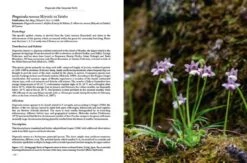 Pinguicula Of The Temperate North 24 Pinguicula Of The Temperate North -Wildlife Professional Books 204408 09
