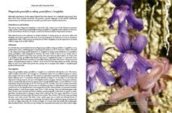Pinguicula Of The Temperate North 26 Pinguicula Of The Temperate North -Wildlife Professional Books 204408 11