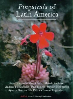 Pinguicula Of Latin America