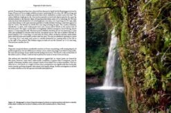 Pinguicula Of Latin America 23 Pinguicula Of Latin America -Wildlife Professional Books 204410 06