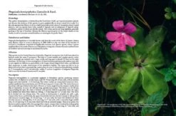 Pinguicula Of Latin America 24 Pinguicula Of Latin America -Wildlife Professional Books 204410 07