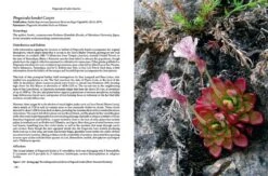 Pinguicula Of Latin America 26 Pinguicula Of Latin America -Wildlife Professional Books 204410 09