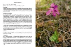 Pinguicula Of Latin America 30 Pinguicula Of Latin America -Wildlife Professional Books 204410 13