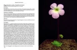 Pinguicula Of Latin America 31 Pinguicula Of Latin America -Wildlife Professional Books 204410 14