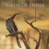 Birds Of India 1 Birds Of India -Wildlife Professional Books 204662