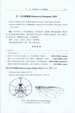 Fauna Sinica: Insecta, Volume 50: Diptera: Syrphidae [Chinese] -Wildlife Professional Books 204673 2