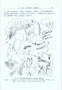 Fauna Sinica: Invertebrata, Volume 43: Crustacea: Amphipoda: Gammaridea (II) [Chinese] -Wildlife Professional Books 204678 2