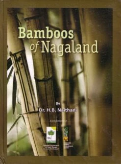 Bamboos Of Nagaland