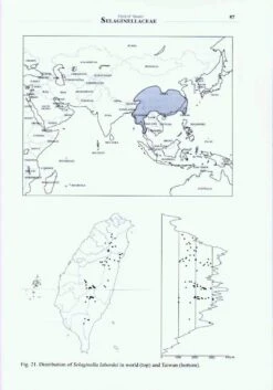 Flora Of Taiwan: Selaginellaceae 10 Flora Of Taiwan: Selaginellaceae -Wildlife Professional Books 205394 3