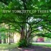 Trees Of New York City 1 Trees Of New York City -Wildlife Professional Books 206652