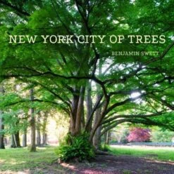 Trees Of New York City